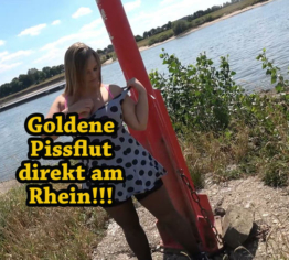 Goldene Pissflut direkt am Rhein!!!