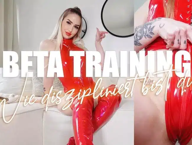 BETA TRAINING - How disciplined are you?