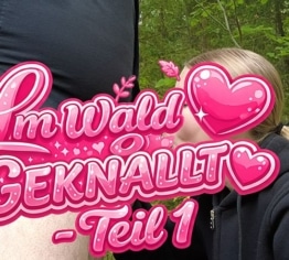 Vögeln im Wald – Teil 1 – Heftige Kolbenbewegung